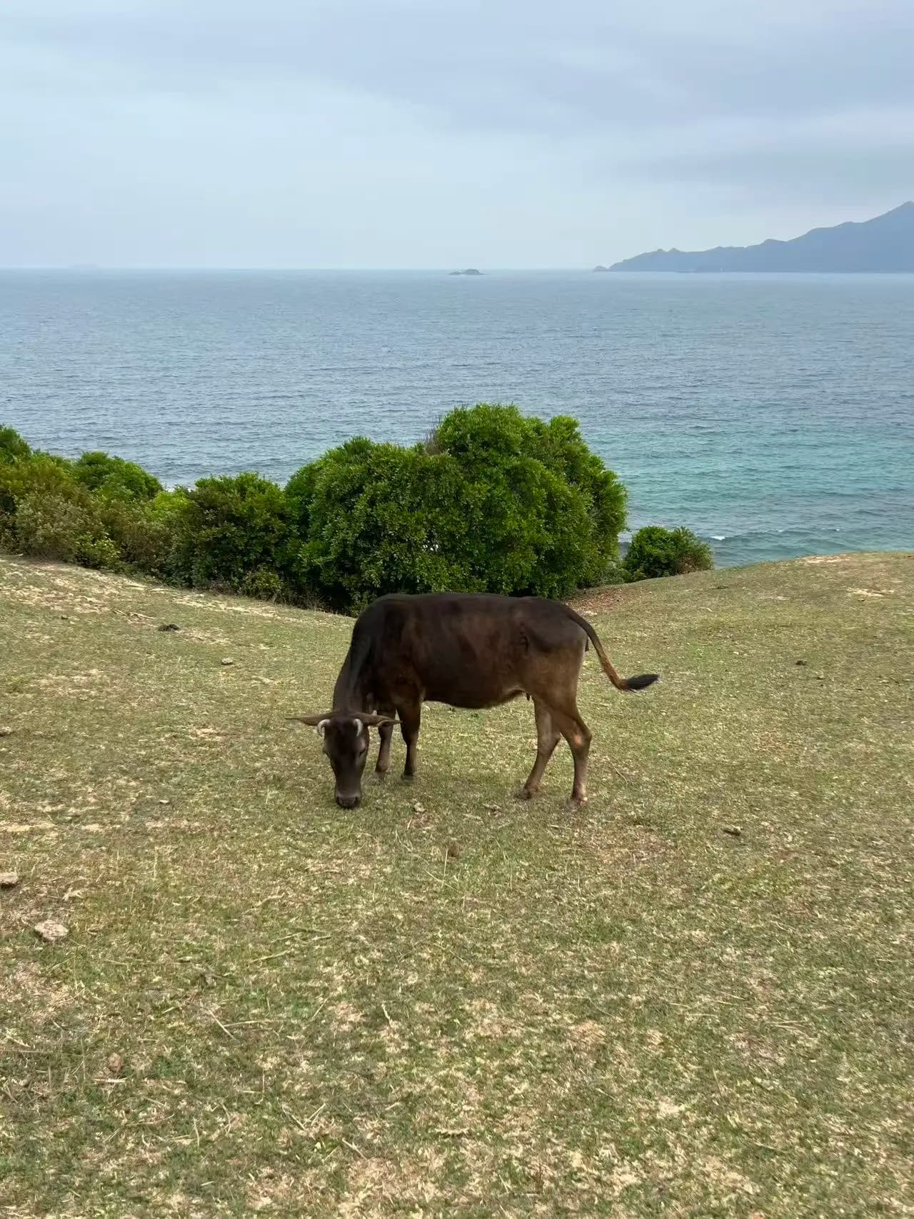 塔门岛
