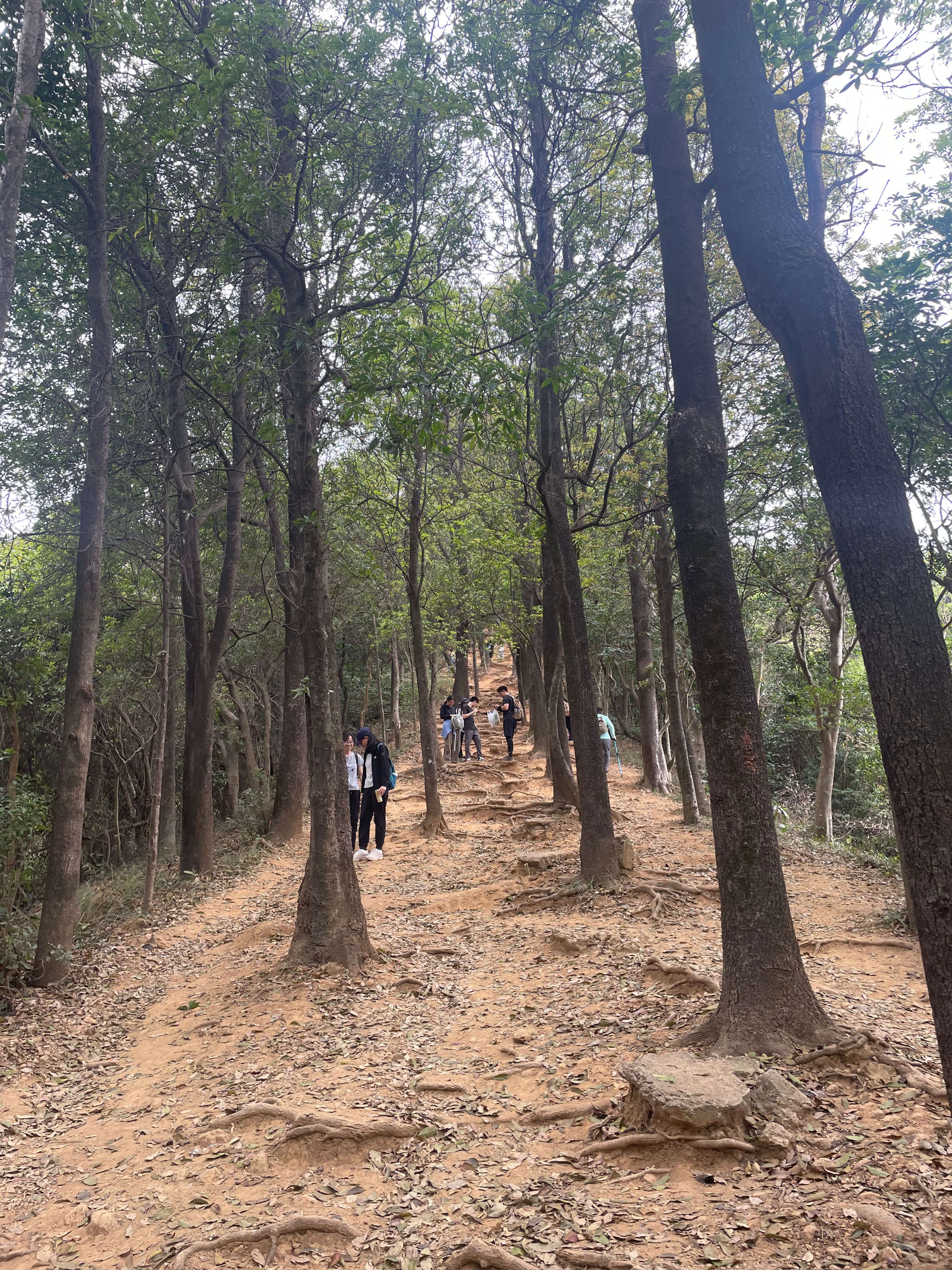 深圳周末徒步 - 银梅塘茶